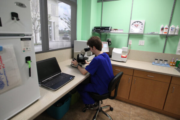Our Lab