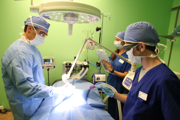 Surgical Suite