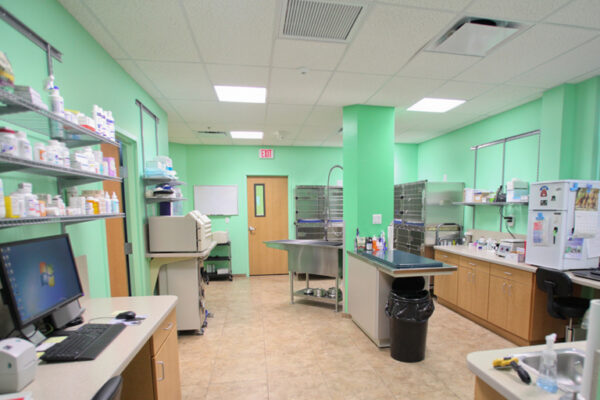 Treatment Area
